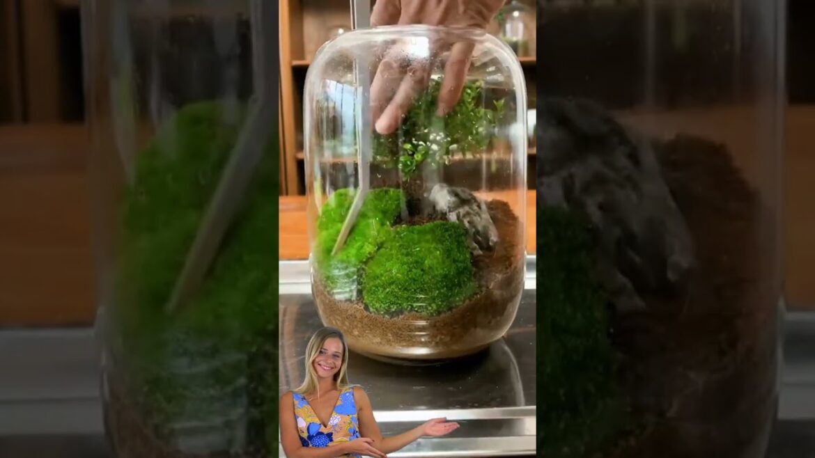 GARDENING TIPS AND HACKS _gardening for beginners #gardening #gardeningtips #tips #diy #gardentricks