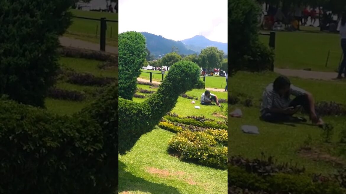 Garden Design Ideas Garden Design Ideas