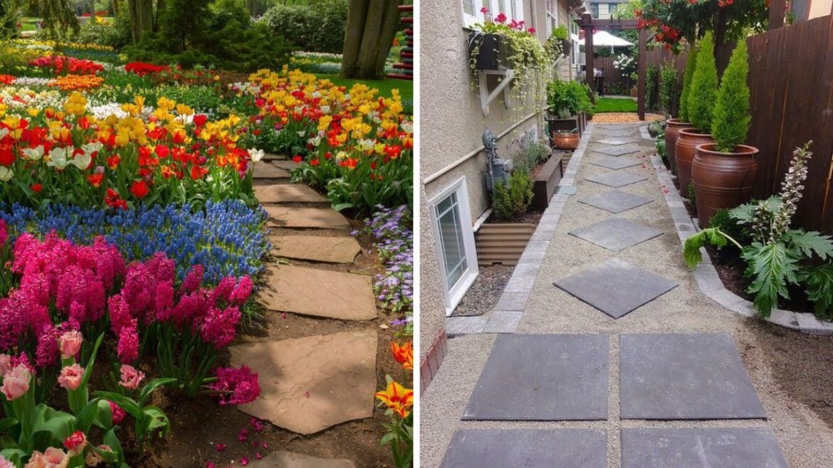 Gardening | Garden Ideas | Flower Decoration | Garden Art | Gardening Ideas | Gardener | Home Patio Gardening | Garden Ideas | Flower Decoration | Garden Art | Gardening Ideas | Gardener | Home Patio