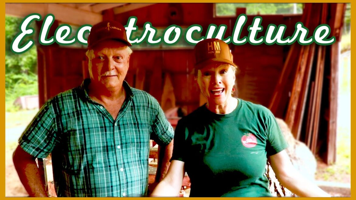 I was interviewing the ELECTROCULTURE guy and THIS HAPPENED!