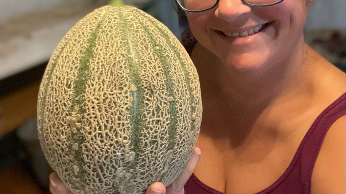 Fall garden plans!!! Fall garden plans!!!