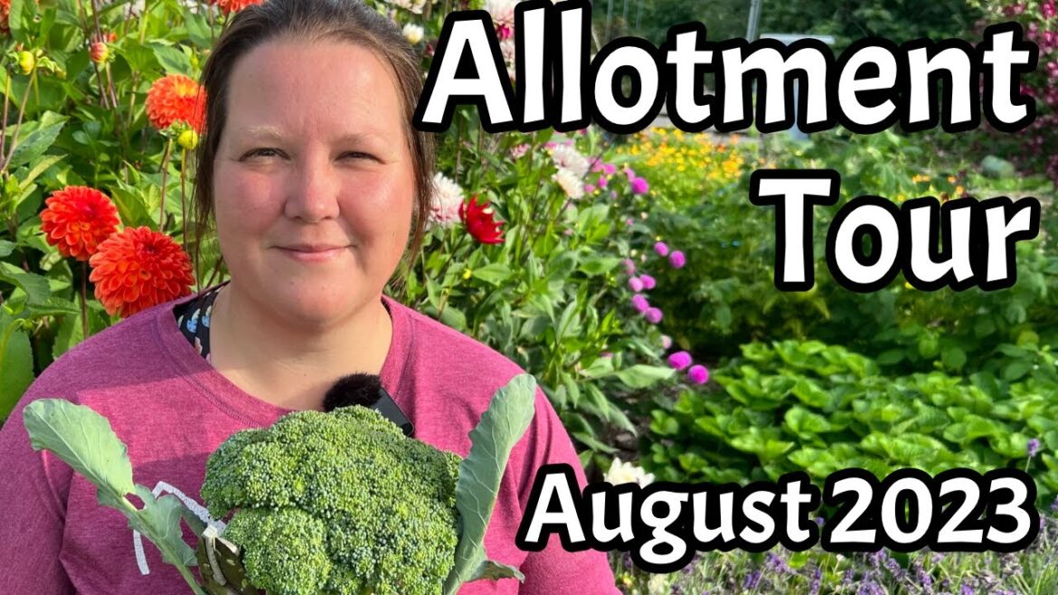 Plot Tour August 2023 Don’t Crop Me Now Plot Tour August 2023 Don't Crop Me Now