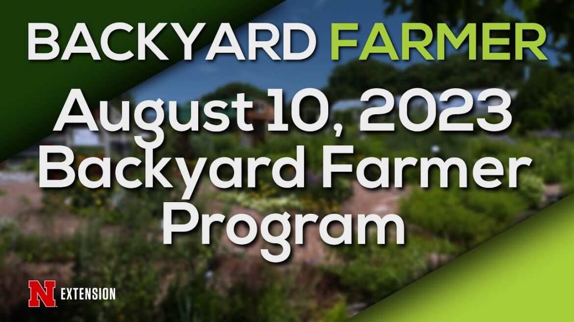 Backyard Farmer August 10, 2023