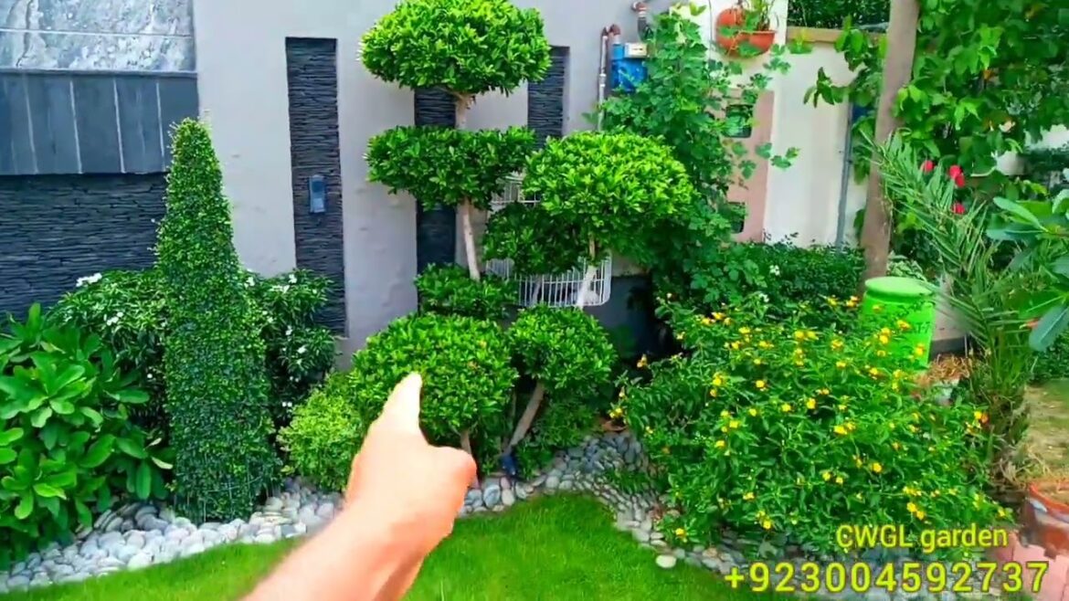 Most Beautiful Modern Garden design 1 kanal house outside Landscape design and Unique Stone design Most Beautiful Modern Garden design 1 kanal house outside Landscape design and Unique Stone design