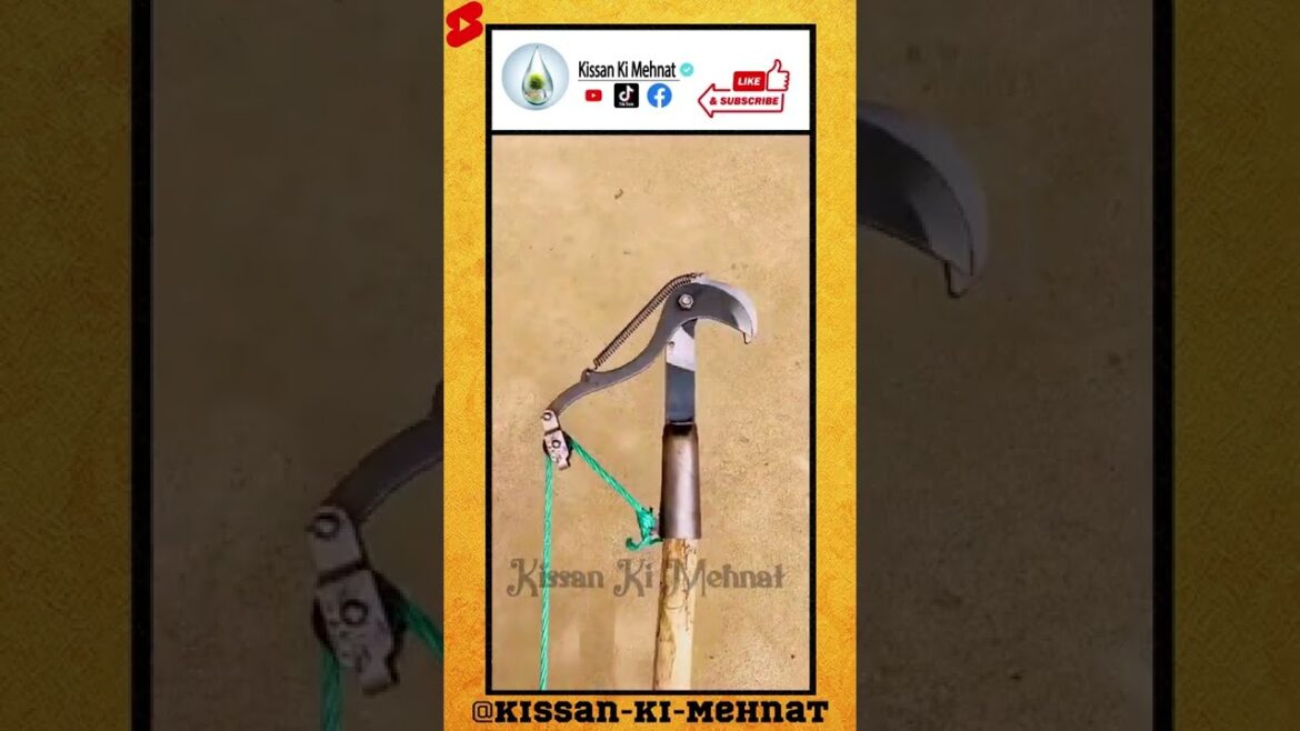 High Altitude Pruning Shears Tree Branches Trimmer Cutter Garden Scissors with Rope, Tree Cutter.