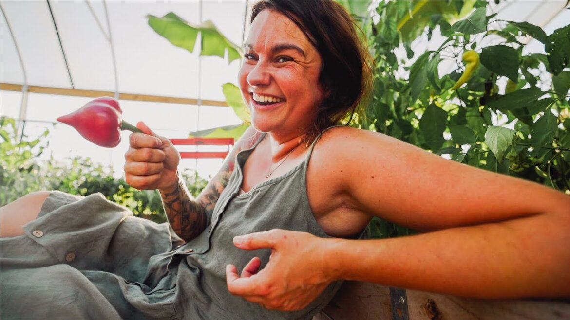 It's just hateful (Heat, Peppers and Laidback Gardening) | VLOG