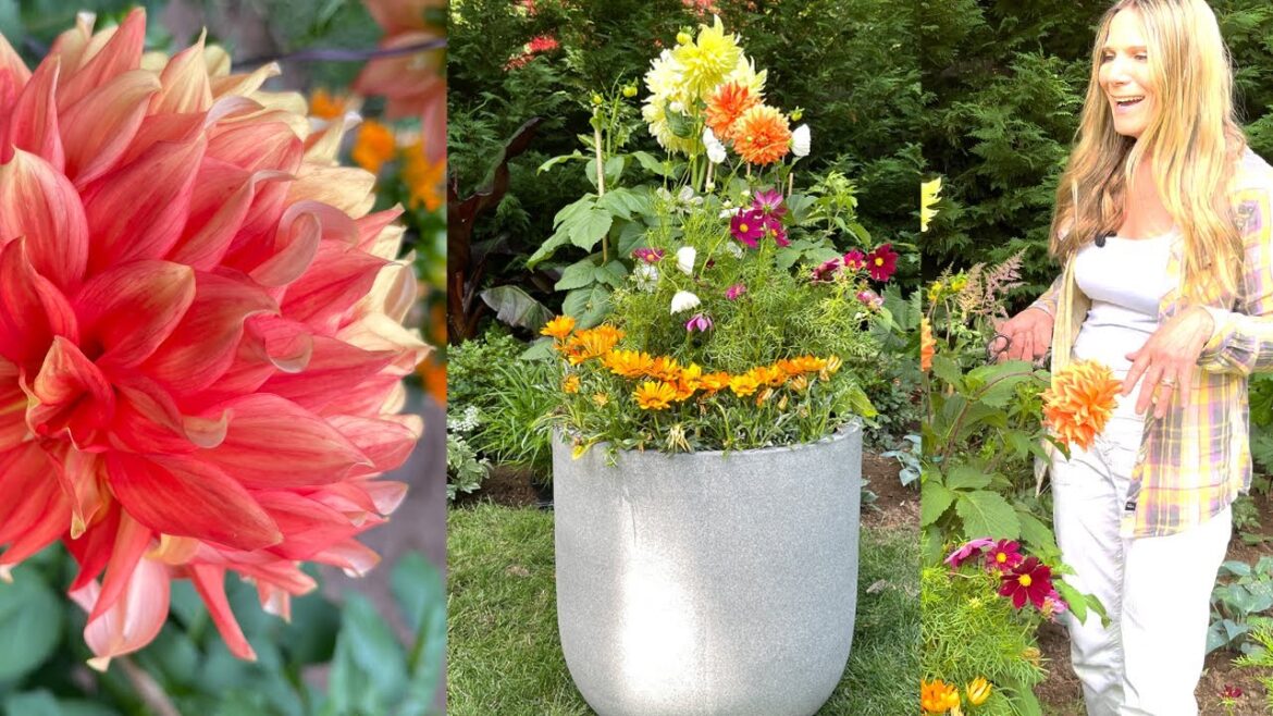 Instant Cutting Garden in a Pot! Instant Cutting Garden in a Pot!