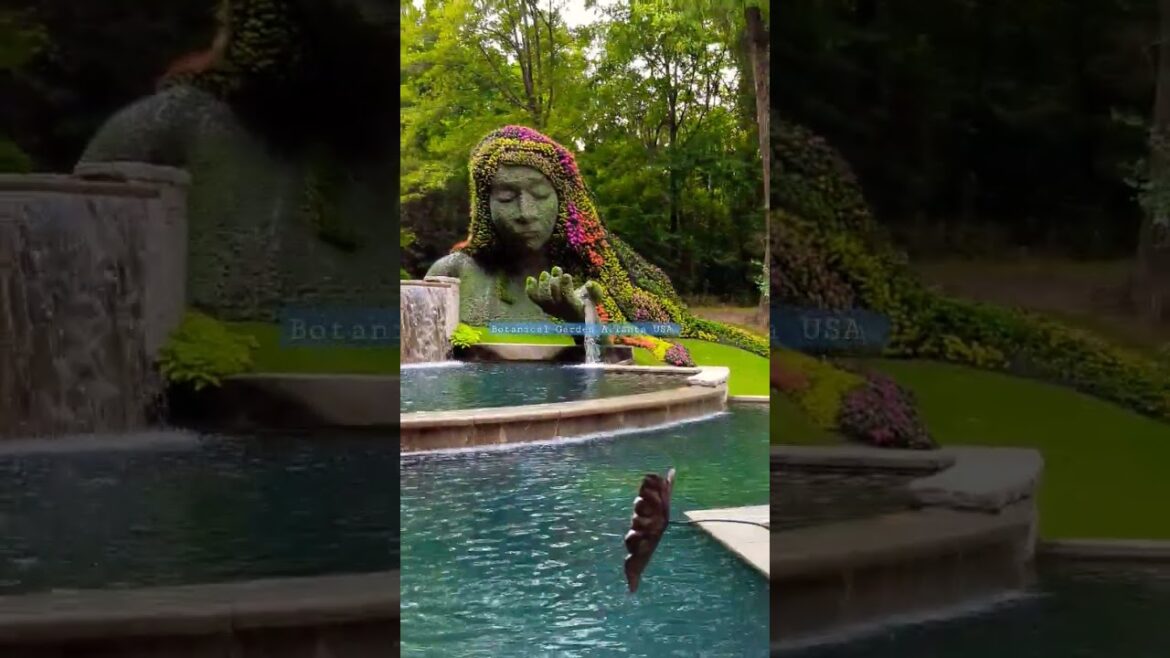 दिल गार्डन गार्डन हो गया #shorts Botanical garden of Atlanta USA