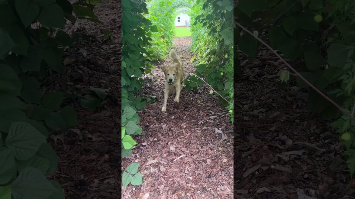 No 2 days are ever the same with Tuc.