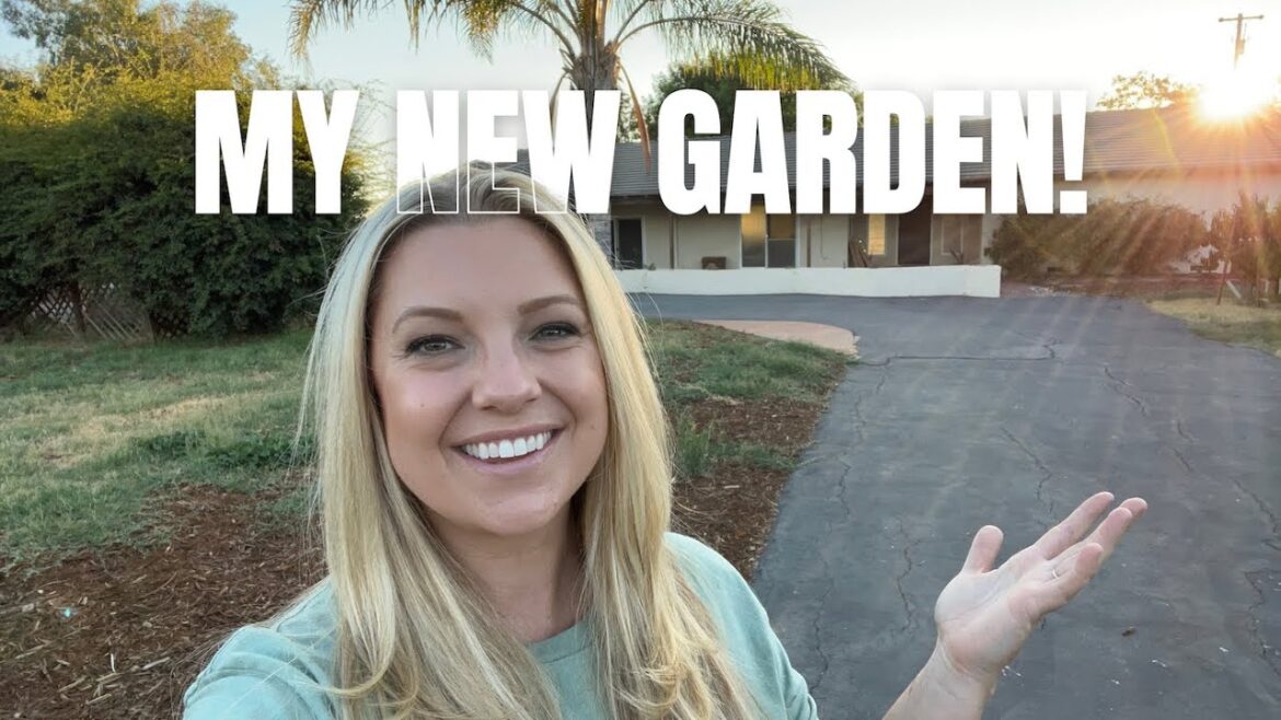 The ✨BEFORE✨ Garden Tour :: My New Garden :: Dig, Plant, Water, Repeat The ✨BEFORE✨ Garden Tour :: My New Garden :: Dig, Plant, Water, Repeat