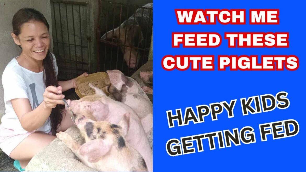 HOW MY BEAUTIFUL FILIPINA ENJOYS HER DAYS WHEN I AM AWAY 😂 #philippines #farming #retirement #happy