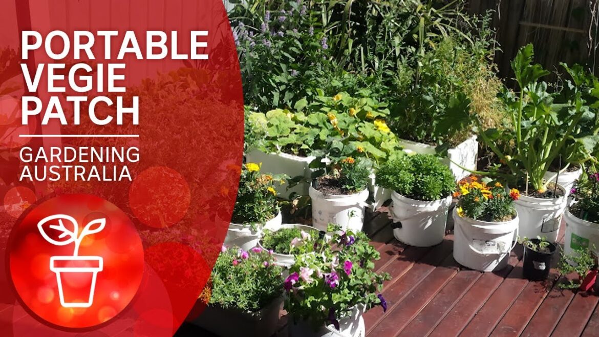 Portable vegie patch for renters with compost station and wicking beds | Gardening Australia Portable vegie patch for renters with compost station and wicking beds | Gardening Australia
