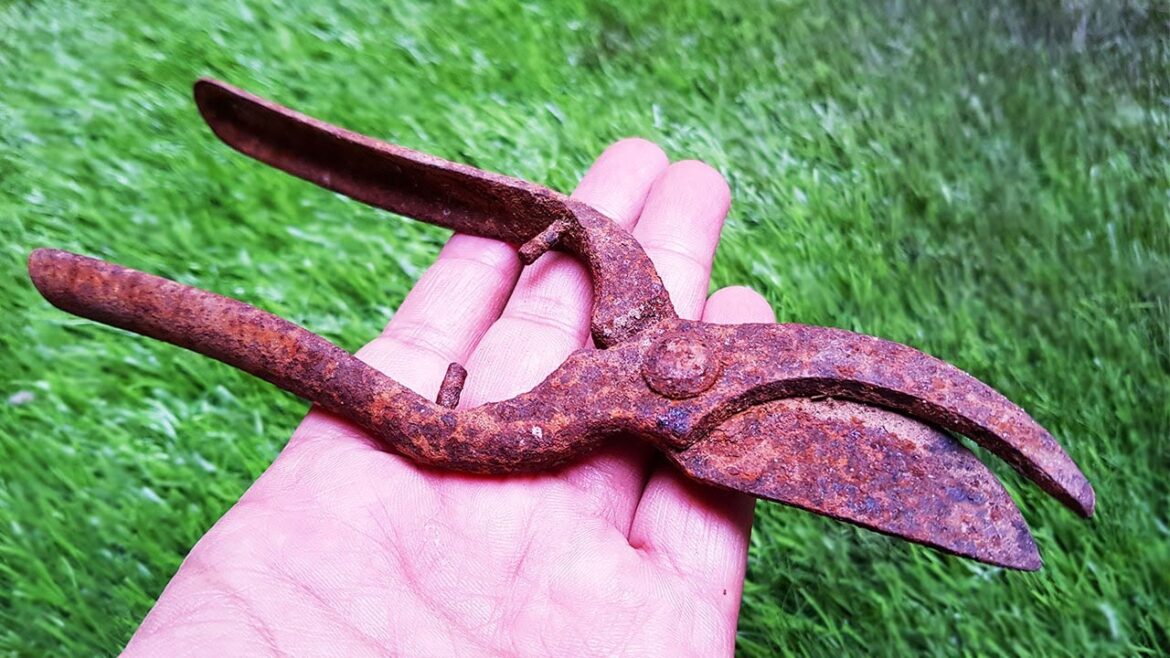 I Restored $1 Flower Cutter Pruning Shear - 1990's Old Rusty Gardening Tool Restoration