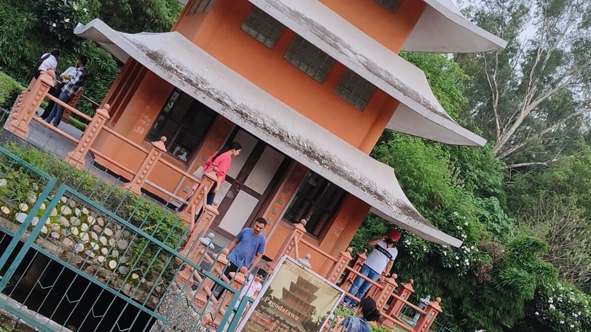 1st vlog in #Japanese garden in #chandigarh in evening 31-July