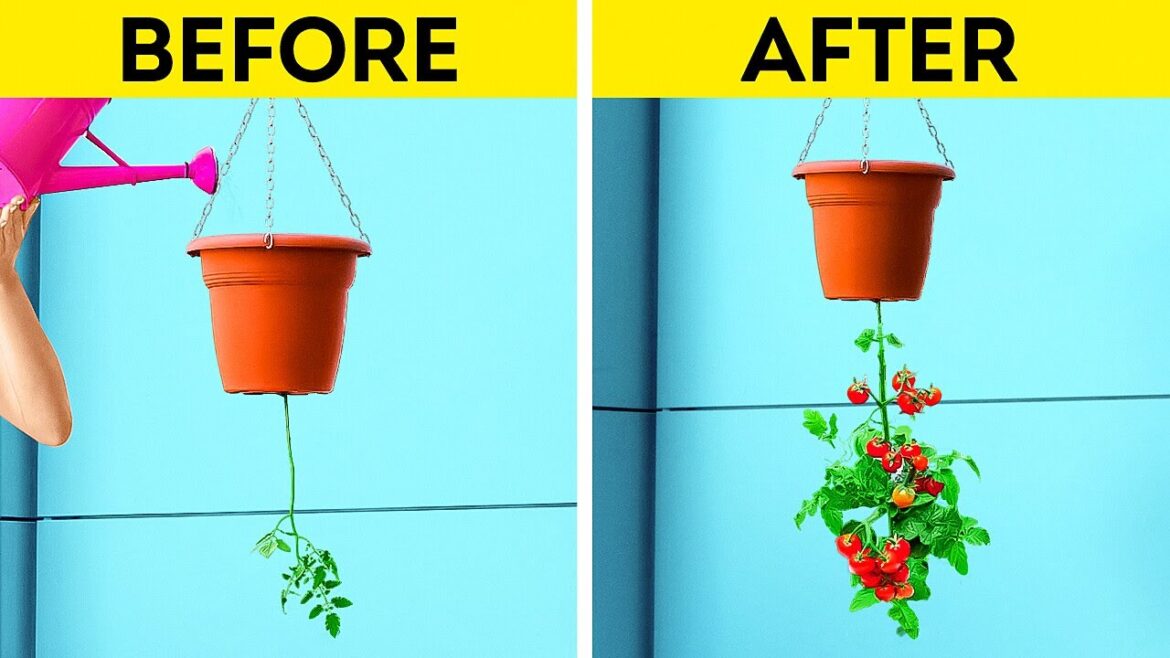Useful Gardening Tips For Plant Lovers Useful Gardening Tips For Plant Lovers