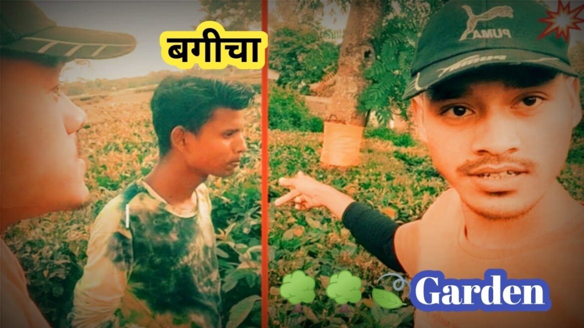 Garden🌳🌳बगीचा@zklndiavlog882 @zklndia-kw3zg you tube Garden🌳🌳बगीचा@zklndiavlog882 @zklndia-kw3zg you tube