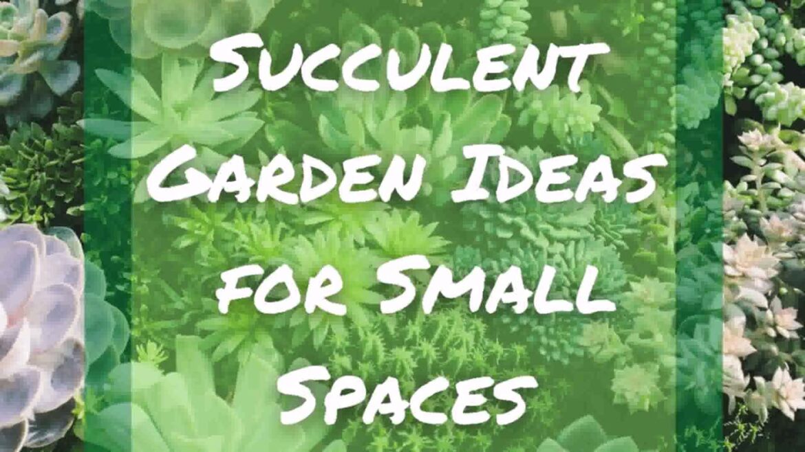 Garden Ideas For Small Spaces