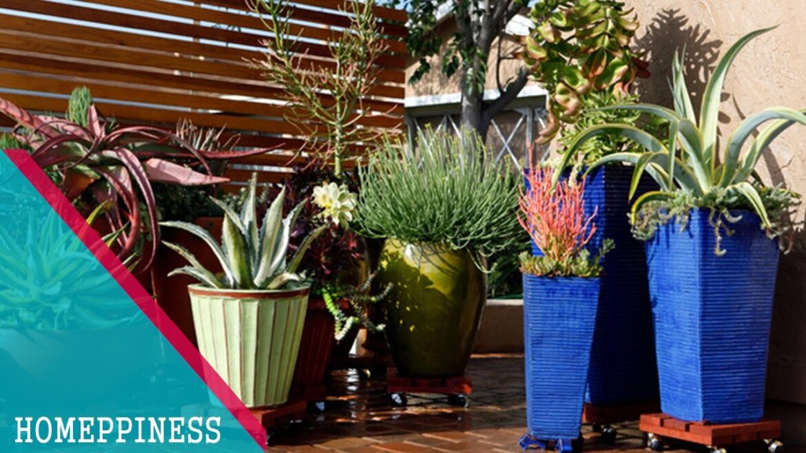 (SIMPLE and EASY) Build An Awesome Succulent Garden with This Newly Succulent Garden Design Ideas