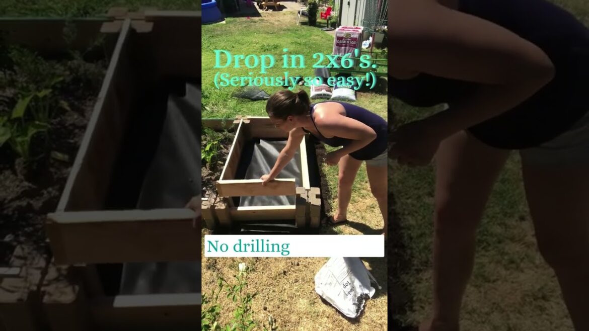 40 Minute Veggie Garden Bed - Easy Gardening #shorts