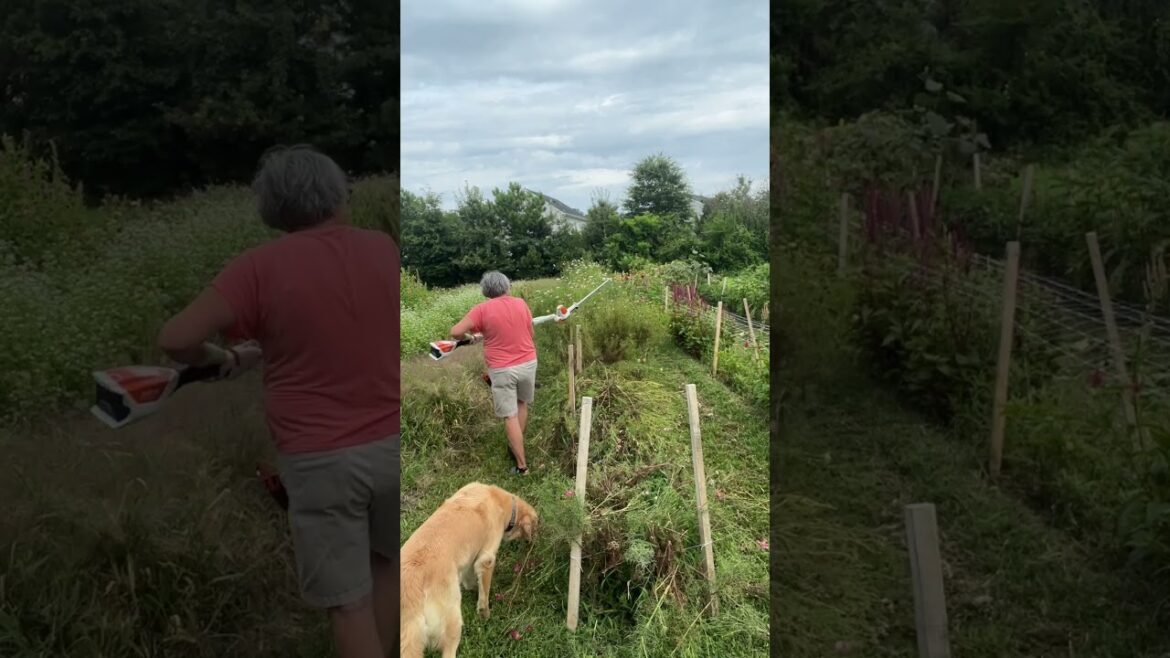 Waited to long. Always happens.