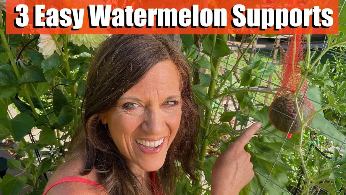 3 Easy Vertical Watermelon Supports/Slings