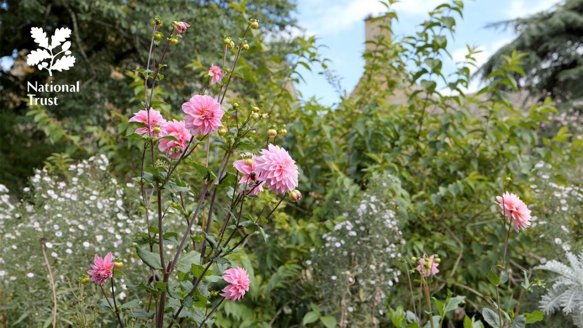Explore an Arts and Crafts garden with the National Trust at Hidcote Explore an Arts and Crafts garden with the National Trust at Hidcote