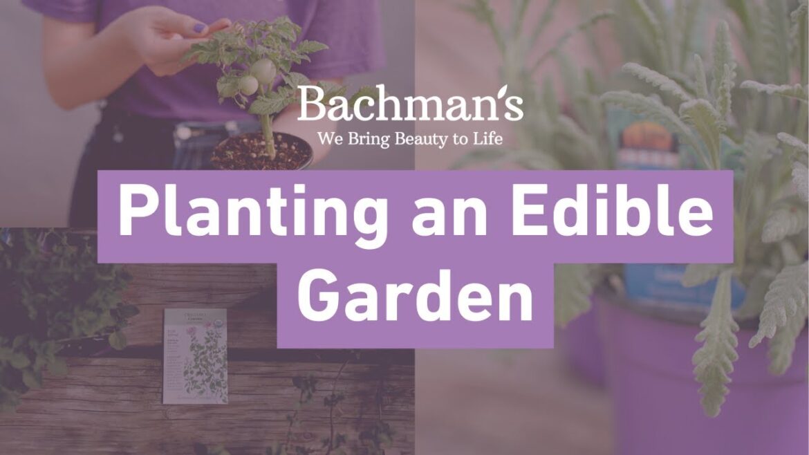 Planting an Edible Garden | Bachman's