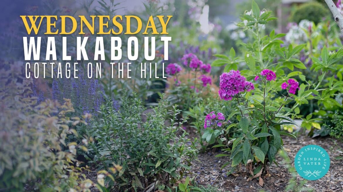 Cottage Garden: Backyard Steps