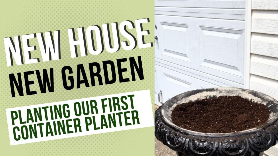 New House, New Garden: Planting Our First Container Planter!