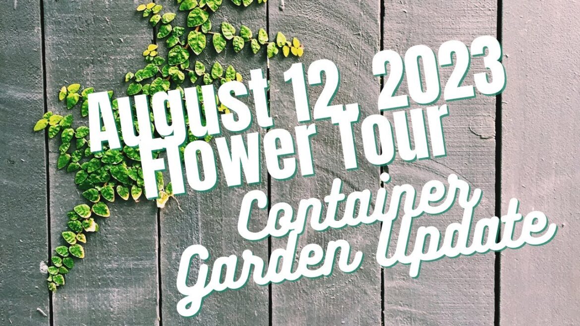 2023 Container Gardening / Flower Plant Tour / August 12 / NJ Zone 6b