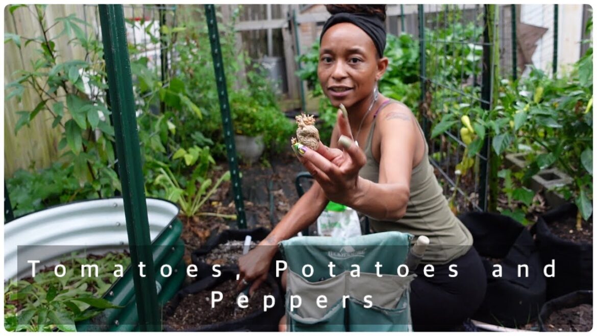 A Few Days of Gardening | Fall Garden Prep | Doing At Least One Thing Each Day (Starting Fall)