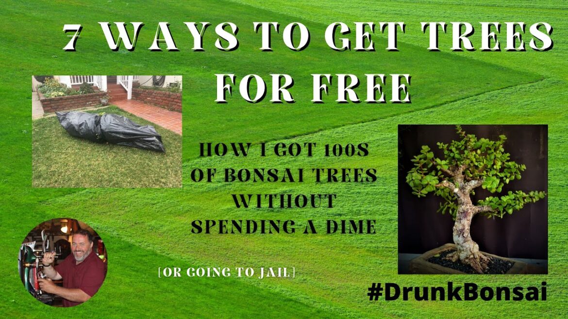 7 Ways to Get Your Bonsai Trees for Free, S01 E18
