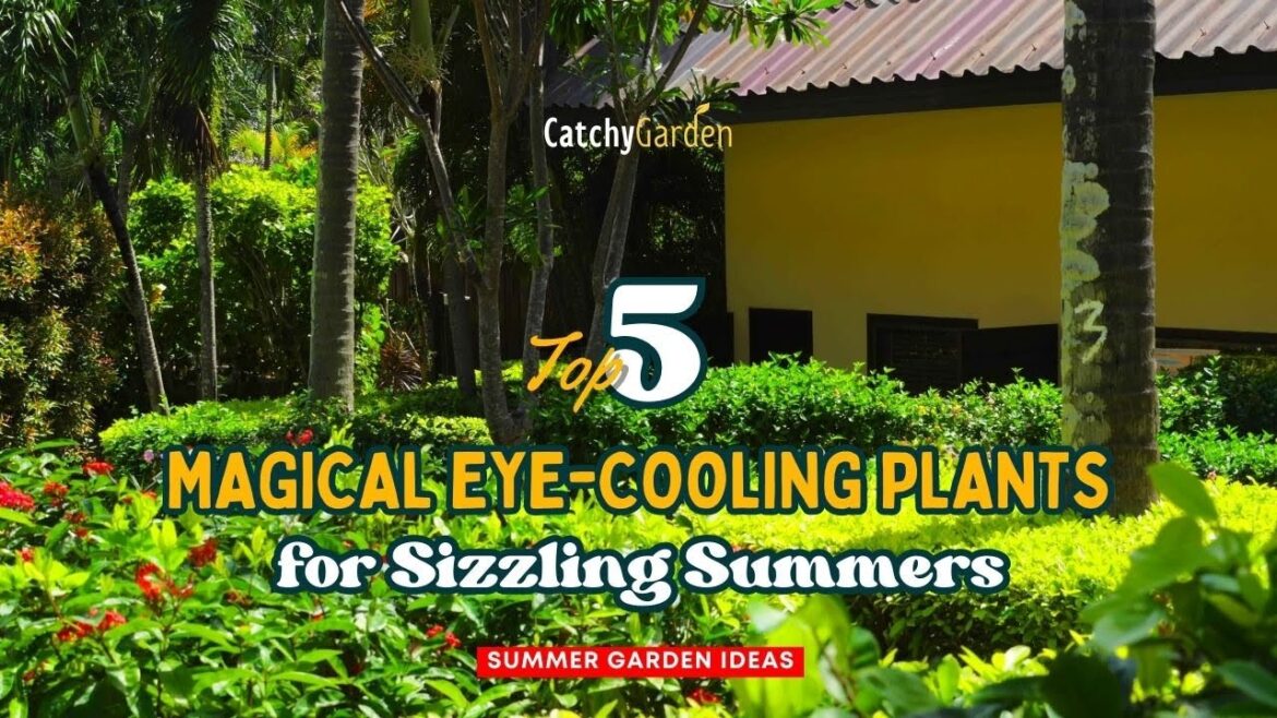 Beat the Heat: 5 Magical Eye-Cooling Plants for Sizzling Summers! 🌿🌞🌱 // Gardening Ideas