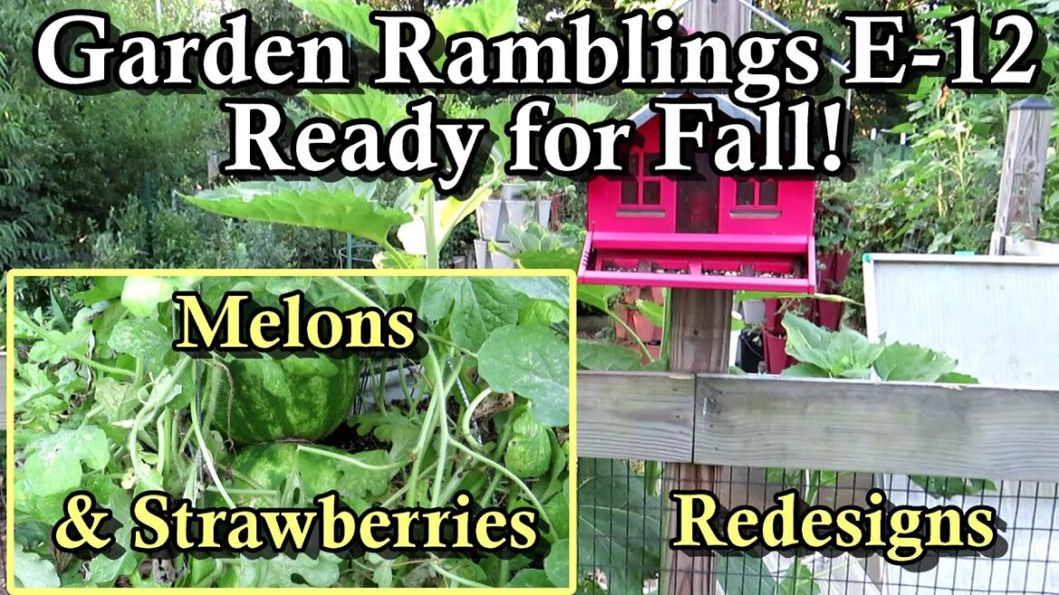 Gary Pilarchik: The Garden is Back! What’s Staying & Going, and Redesigns: Garden Ramblings Tips & Tour E-12 The Garden is Back! What's Staying & Going, and Redesigns: Garden Ramblings Tips & Tour E-12