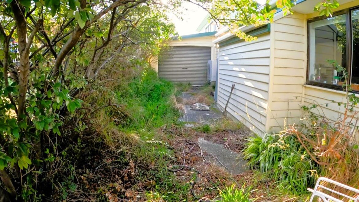 Garden Catastrophe Restoration | Watch me Transform this Jungle Garden Catastrophe Restoration | Watch me Transform this Jungle