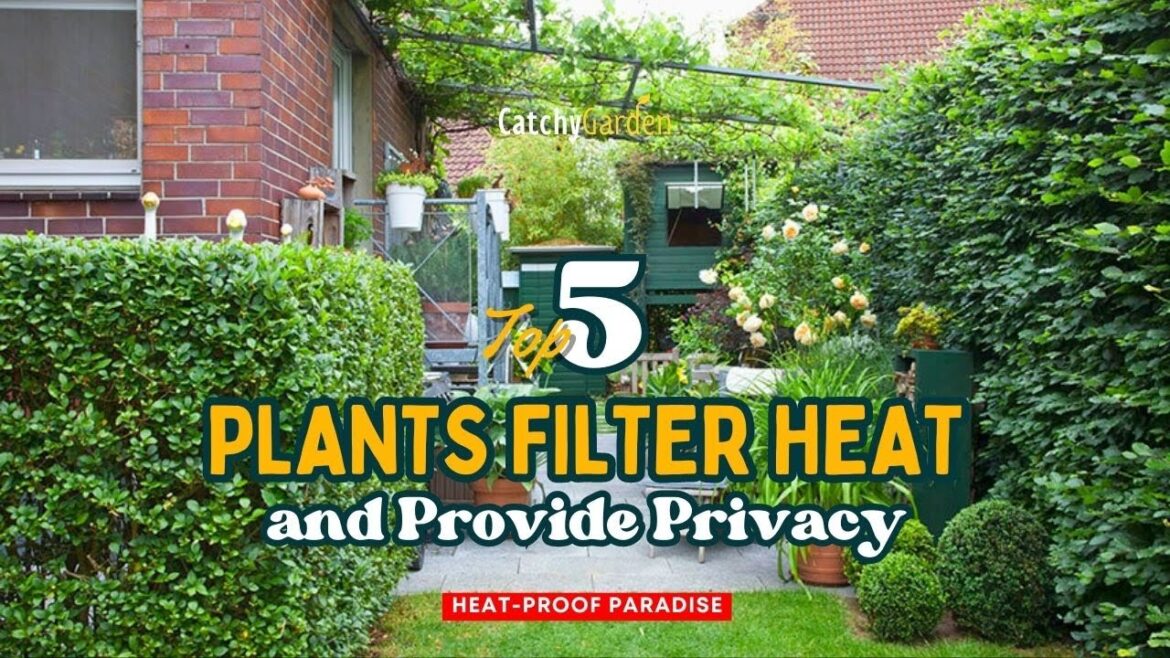 Heat-Proof Paradise: 5 Plants Filter Heat & Provide Privacy! 🌲🏜️🌲 // Gardening Ideas