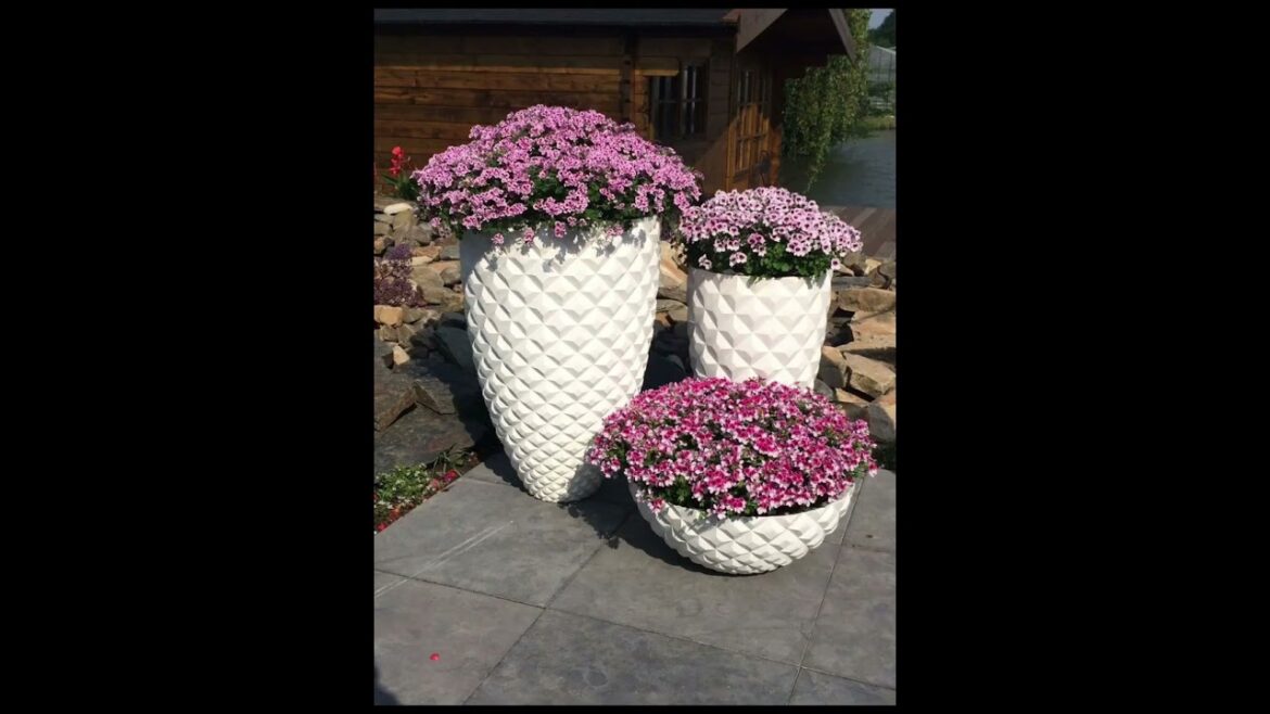 unique flowers bed design ideas 2023 | Garden Design ideas