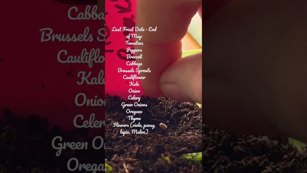 Seeds to Start in March! 🌱 #shortvideo #gardening #gardeningtips