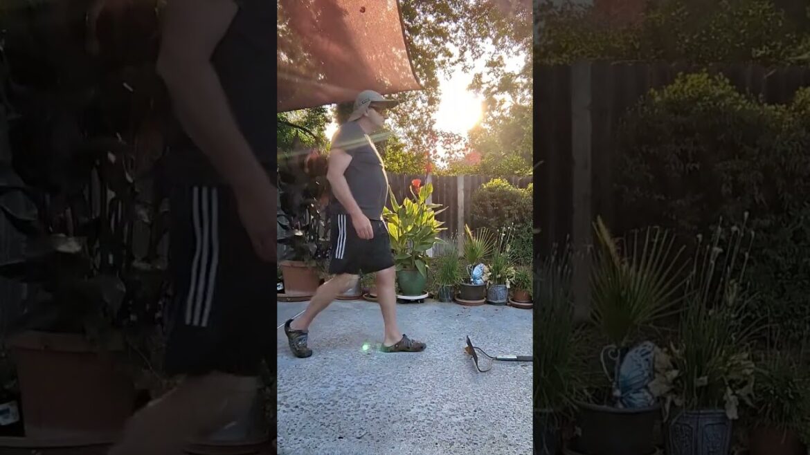 Gardener plays wack/f*** #trends 😆😭😭🤣🤣🤣🍅🌼💚 #dadhumor  #funny #gardening #dadjoke #flowers