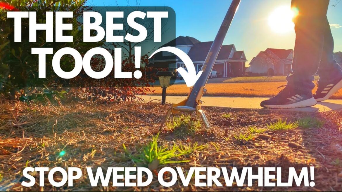 Bye-Bye Weeds: The Best Weeding Tool Revealed!