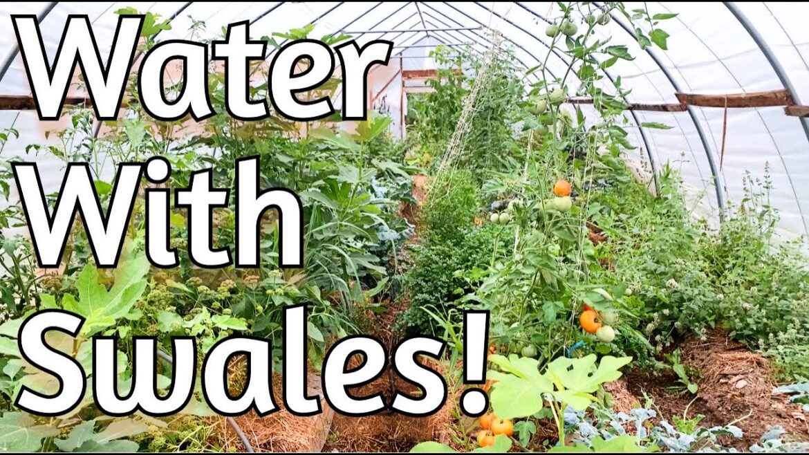 High Tunnel – Swales for Flood Irrigation High Tunnel - Swales for Flood Irrigation