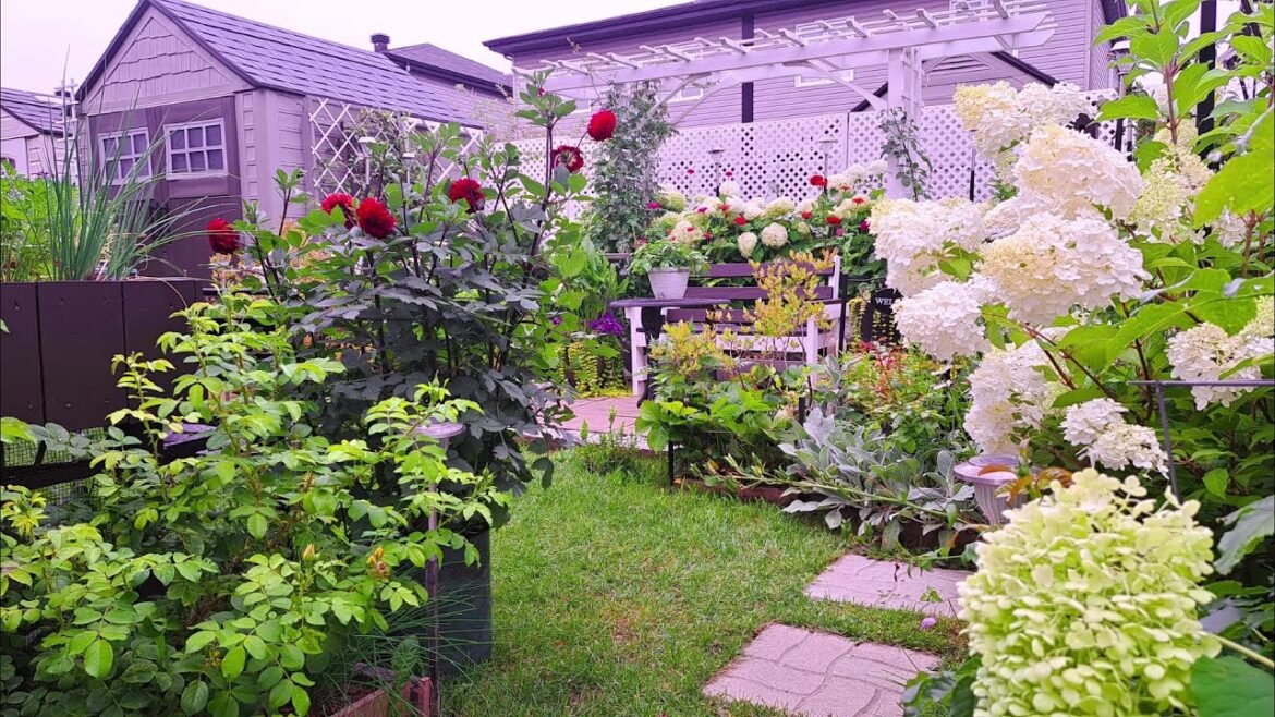 Small Backyard Garden Tour Before The Big Storm #garden #gardentour #gardening #new #homegarden