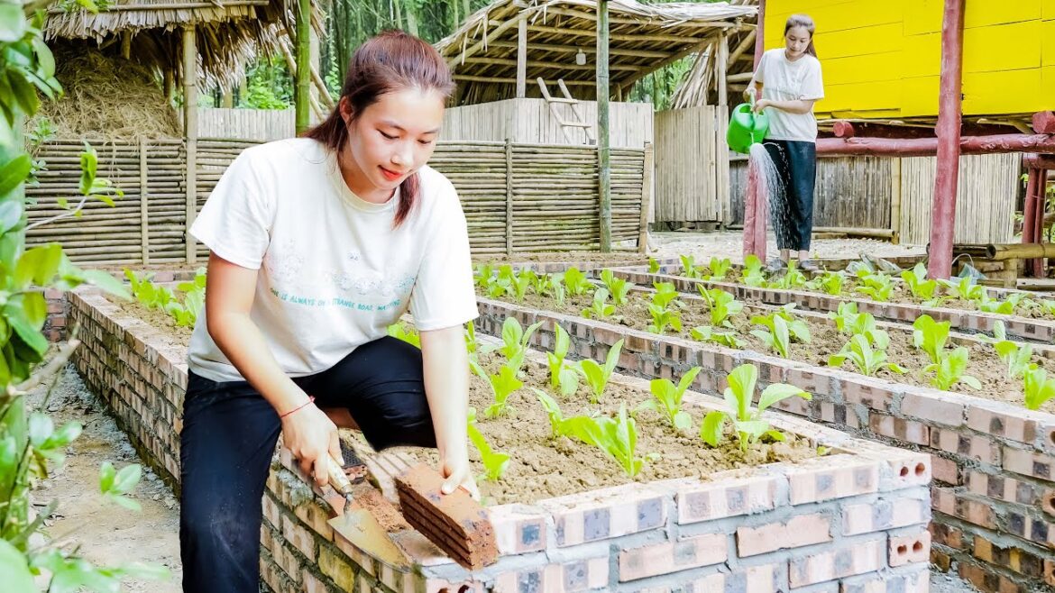Vegetable Gardening, build a clean vegetable garden with cement and bricks | Thảo bushcraft – EP47 Vegetable Gardening, build a clean vegetable garden with cement and bricks | Thảo bushcraft - EP47