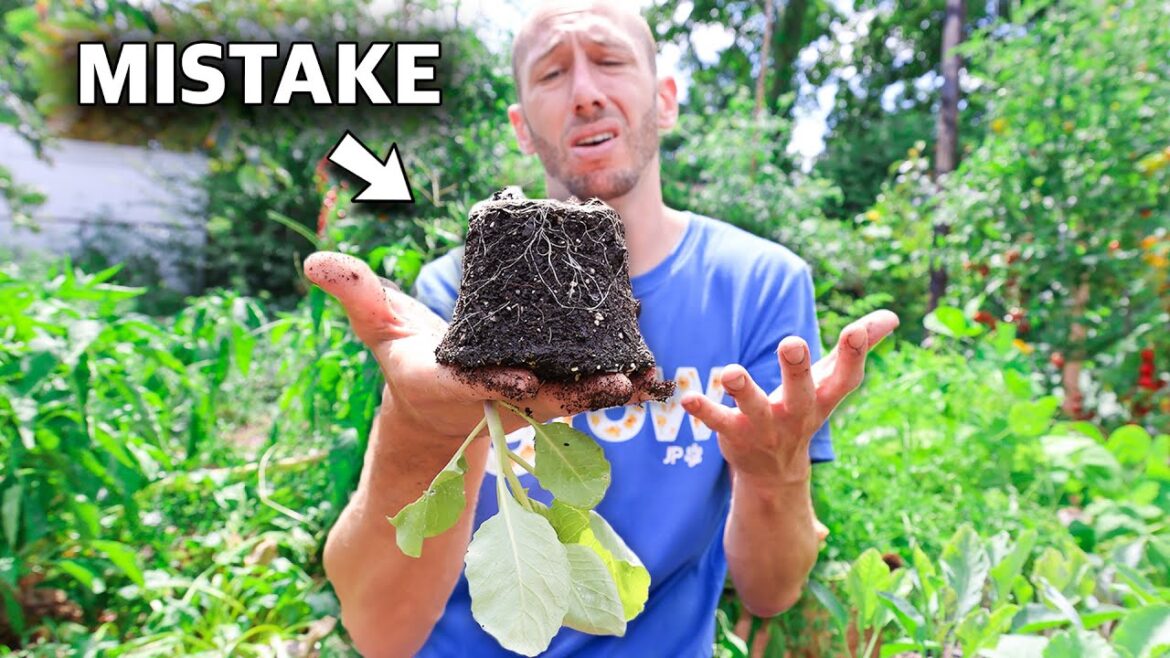 5 Deadly MISTAKES You Can’t Afford to Make When Planting a Fall Garden