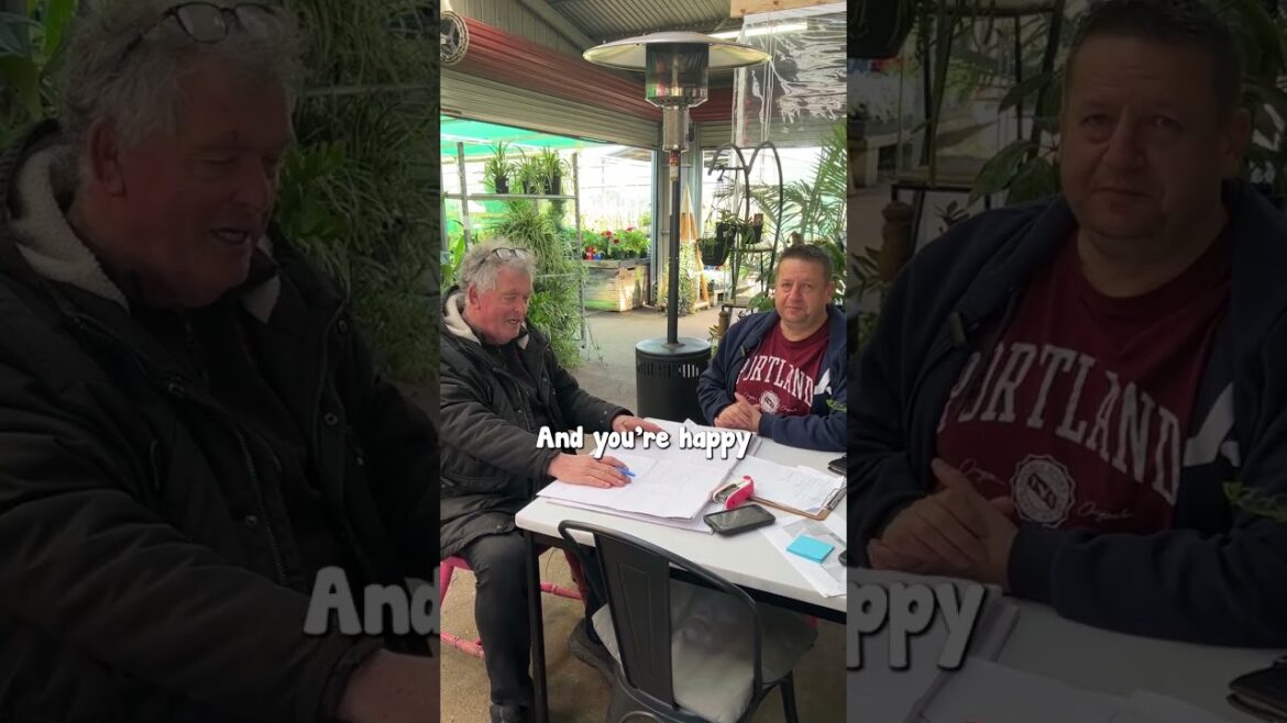 Hello Hello Plants FREE Garden Design Review from Angelo! 🤩👍🏡