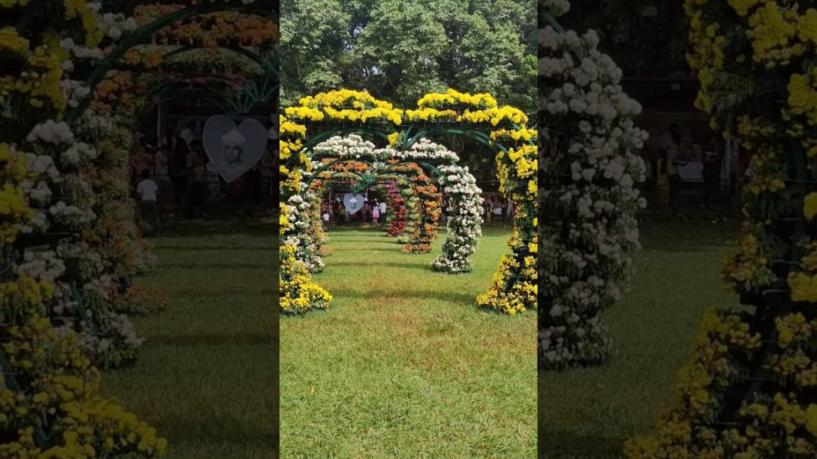 garden design #shots #youtubeshorts #viral #reels #trending