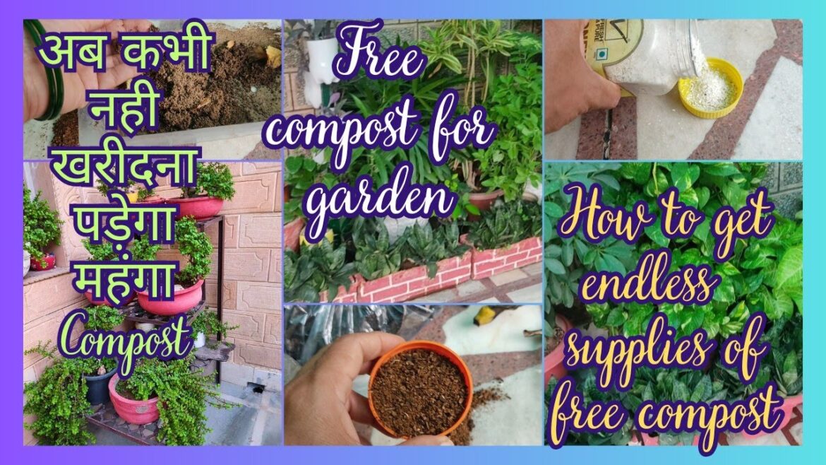 How to make compost from kitchen waste | How to get endless supply of compost for your garden How to make compost from kitchen waste | How to get endless supply of compost for your garden