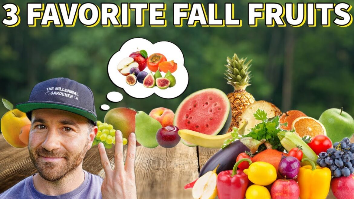 3 Fruit Trees That Make Me EXCITED For FALL!