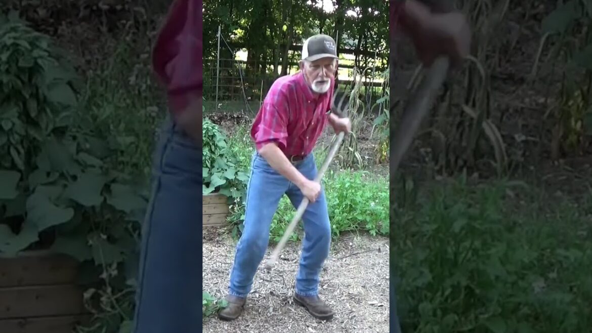 Pink shoe laces bug dance #garden #dancing #challenge #viral Pink shoe laces bug dance #garden #dancing #challenge #viral