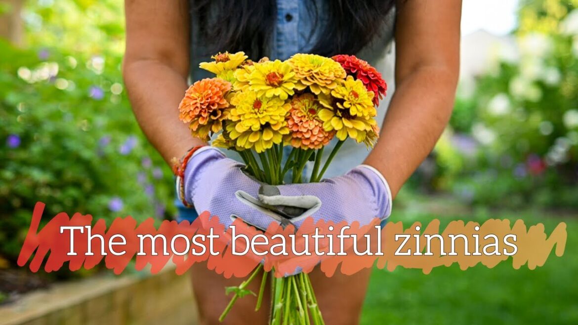 Avoiding Responsibilities & Gardening Instead (Plants are nicer!)